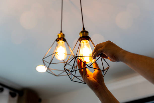 Best Home Electrical Repair  in Homeland Park, SC