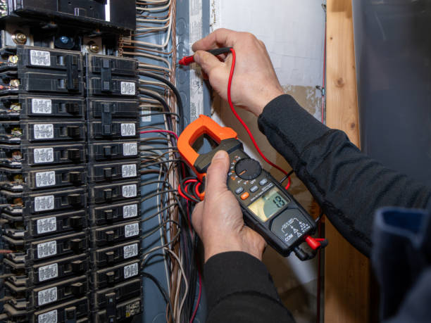 Best Residential Electrician Services  in Homeland Park, SC